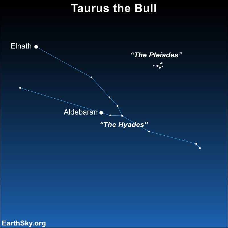 The planet Uranus is high overhead at nightfall. It’s below the Pleiades star cluster, and far to the right of the bright orange star Aldebaran, the eye of the bull.
Through good binoculars, the planet looks like a faint star.
