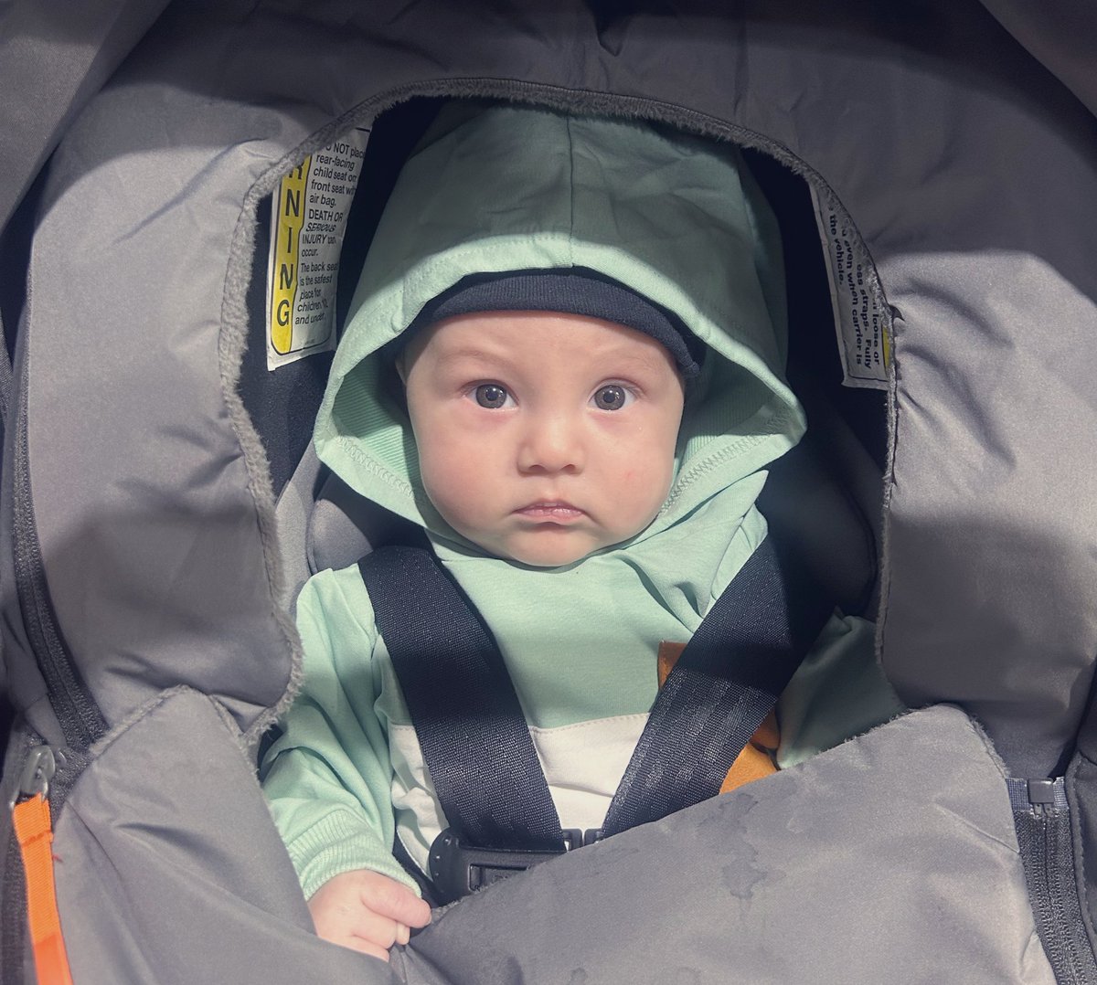 beachbaybee1's tweet photo. Landen’s first Costco trip. 
&amp; I think we have a green eyed baby 😍💚 https://t.co/uUHdbdEZ2O