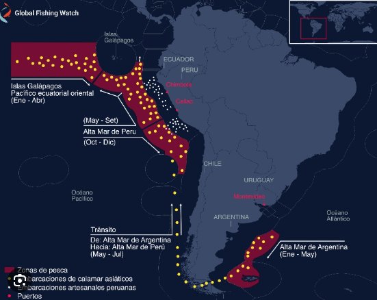 <a href="/hermanntertsch/">Hermann Tertsch</a> El "modus operandi" de los barcos fábrica chinos: cruzar el límite de las 200 millas, pescar ilegalmente y procesar todo en alta mar para no dejar rastro. La sobreexplotación de la pota pone en riesgo el ecosistema y la economía local. ¡Urgente mayor vigilancia de la marina!