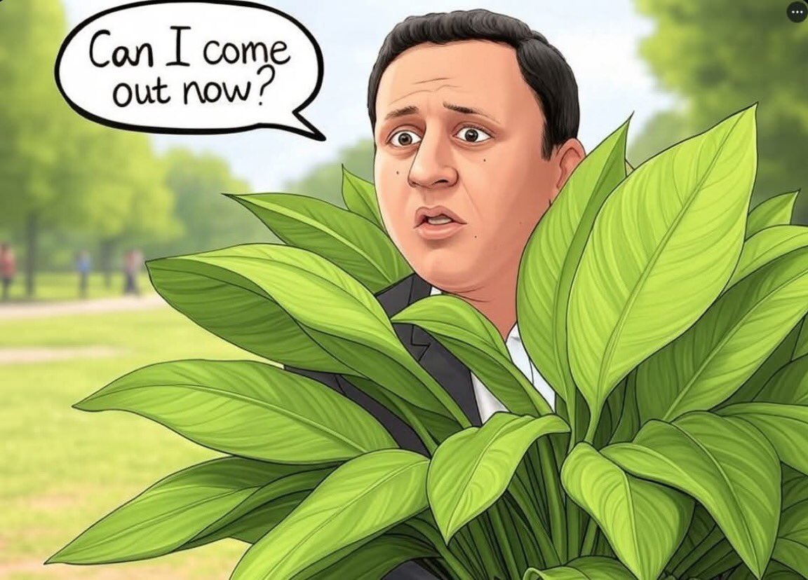 braes_andy's tweet image. 