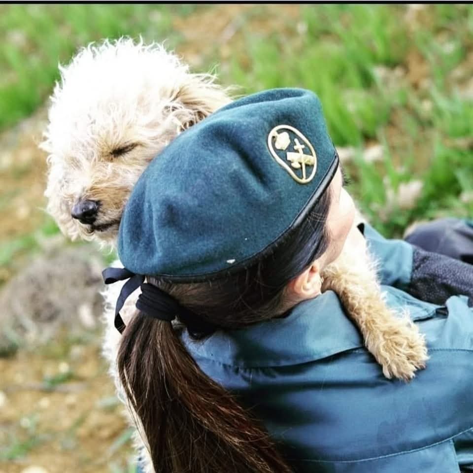 MqGuardiaCivil's tweet image. Te digo buenas noches y que descanses bien, que los ángeles cuiden tus sueños y me permitan estar en él para juntos ir a un paraíso creado por tu imaginación. Esta noche estamos en modo romántico 😉💚🌠☀️

Hasta mañana!

#ServicioCinológico #dogpolice #policedog
#GuardiaCivil