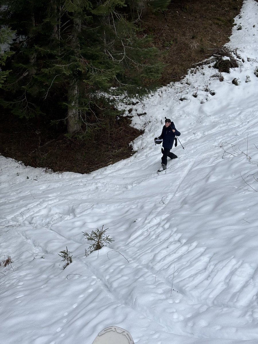 A busy day 4 of skiing  morning lessons and slalom ski races!  Image