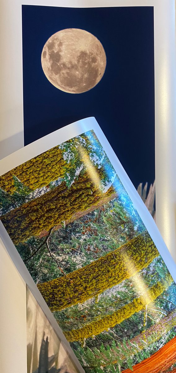 artwolfe's tweet image. #thankfulthursday We are doing test strips for a couple gorgeous prints from a recent order. One is a 60x40 and the other a 50 inch pano. Stunning on Epson metallic luster paper!
#ExploreCreateInspire #supportlocalartists #ArtWolfe #shotonfilm #walldecor #fineartphotography