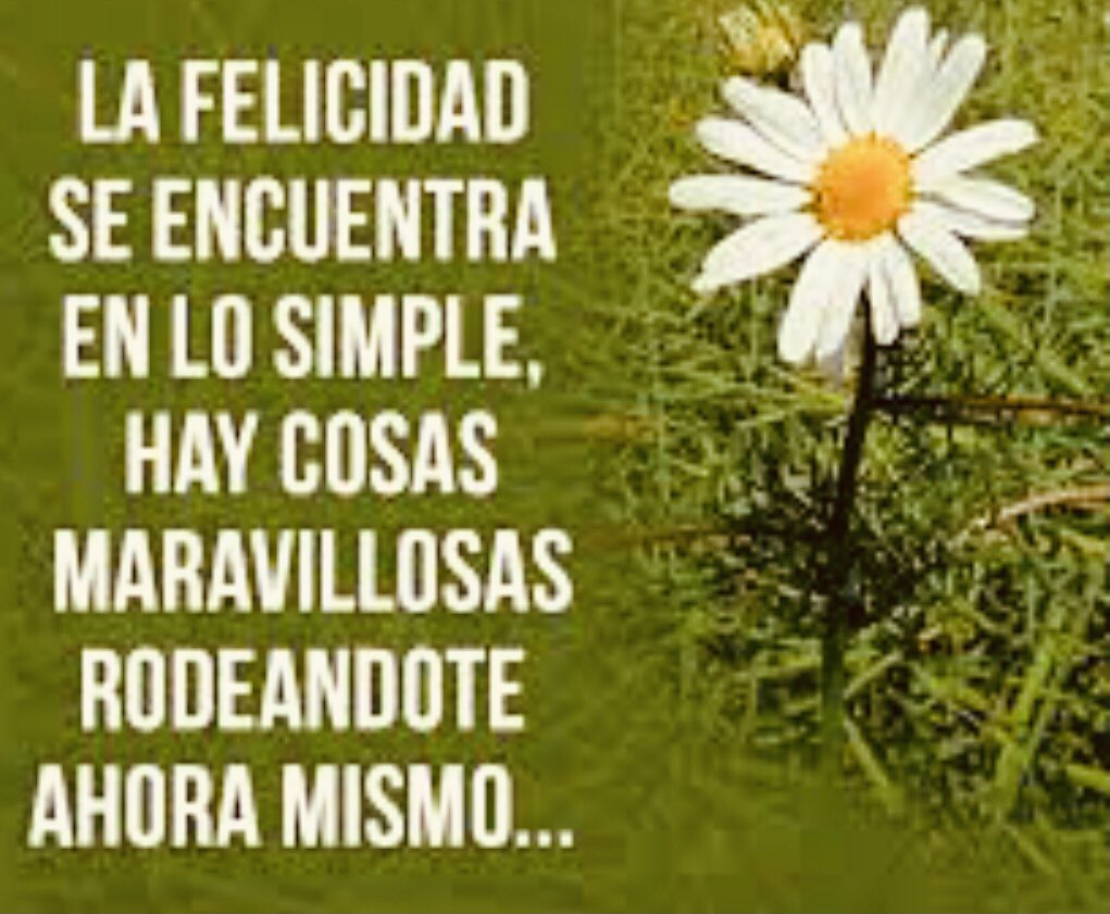 ♥️♥️♥️♥️♥️♥️♥️