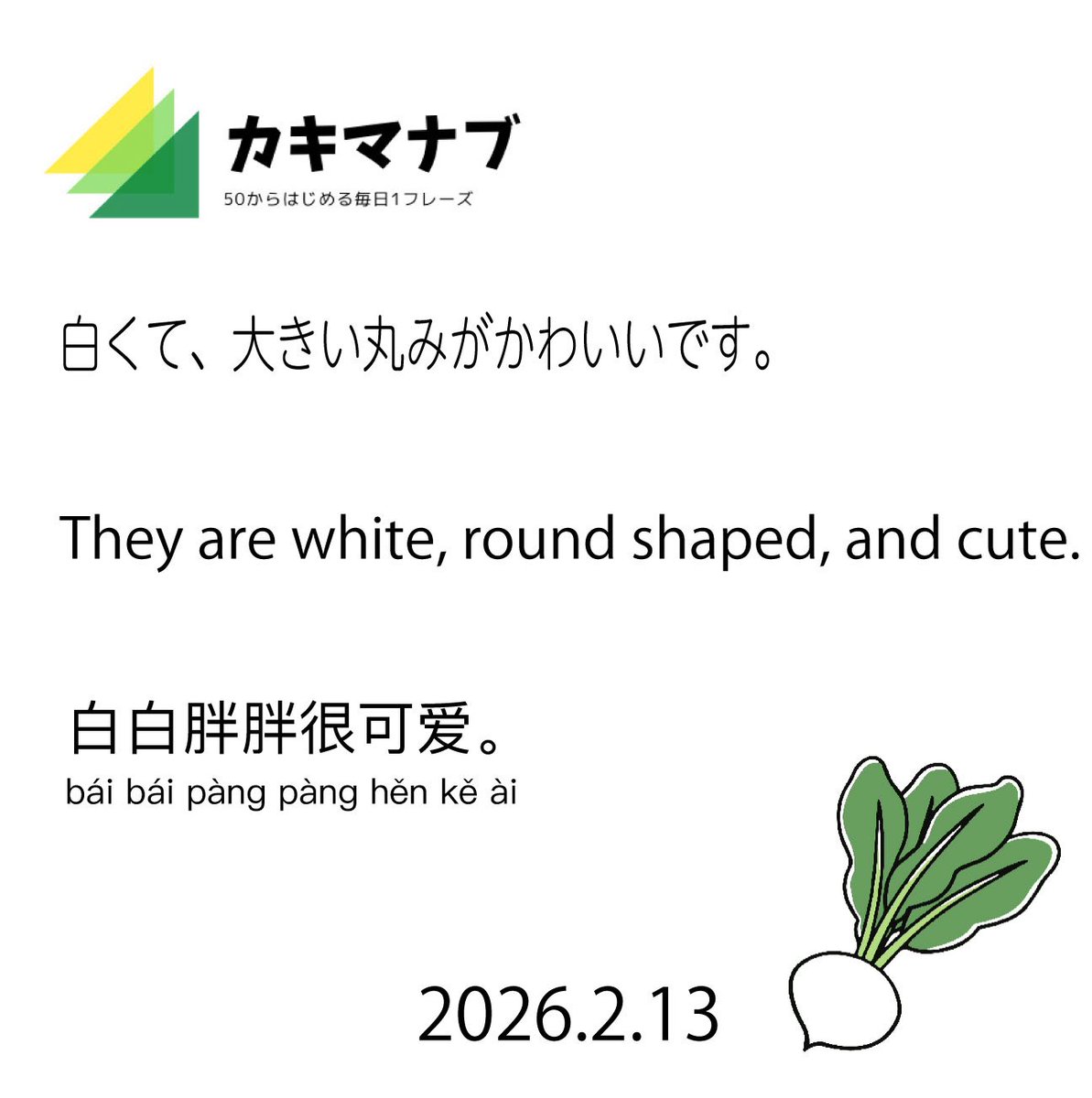 カキマナブ
20260213

#kakijunfilms
#カキマナブ