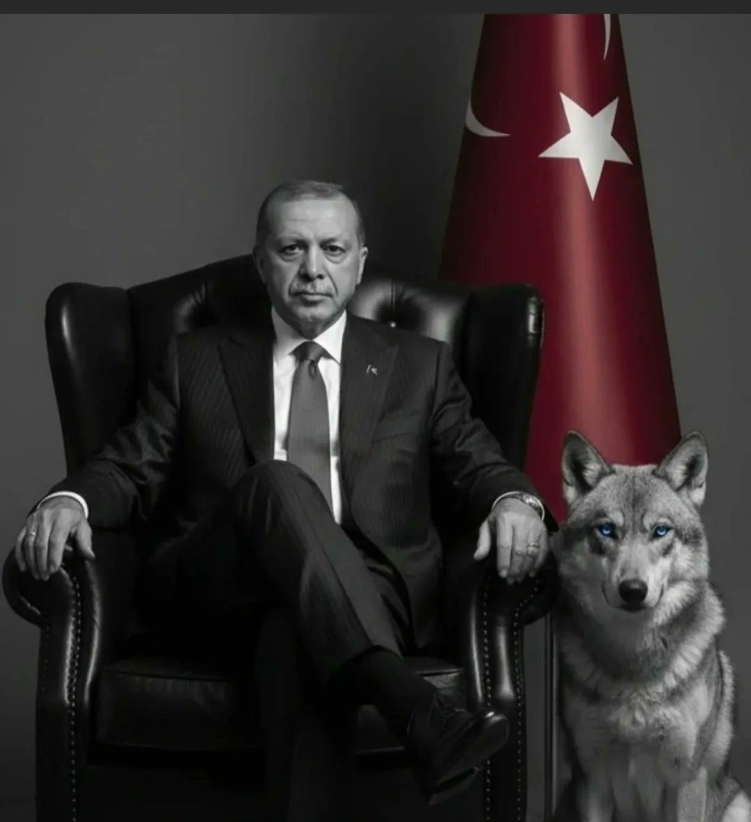 HBTurkoglu's tweet image. Cumhurbaşkanı Sn. Recep Tayyip Erdoğan:

❝Birileri kabul etmeye yanaşmasa da uluslararası siyasette son yıllarda çok açık söylüyorum; bir Türkiye rüzgarı esiyor.❞

@RTErdogan