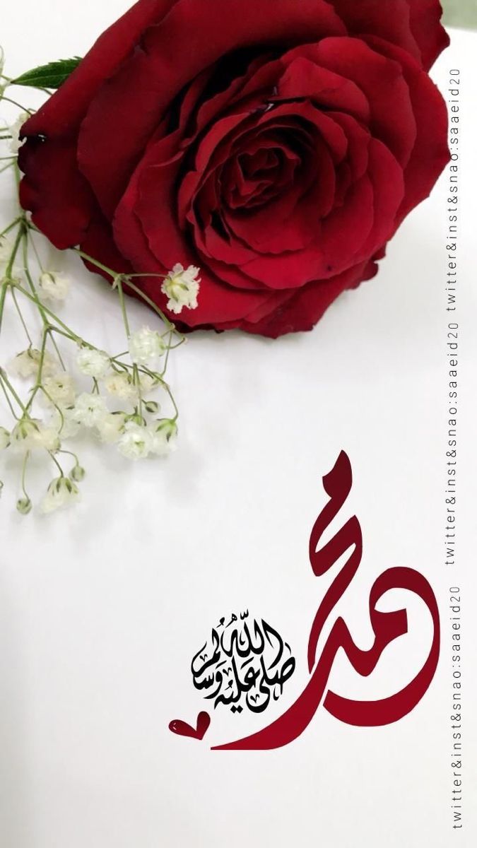 يارب في ليلة الجمعة اجعل لنا نصيباً من الرحَمة والمَغفرة والفرج والسعادة والرزق والهداية ✨️
اللهم صل وسلم وبارك على خير البرية وشفيعنا يوم القيامه سيدنا محمد ﷺ✨️

.
#الوتر
#ليلة_الجمعه
#صلوا_على_الحبيب_محمد_ﷺ