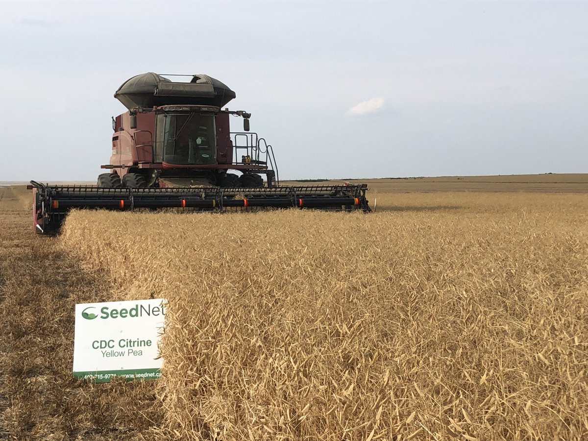 SeedNet Inc. tweet media