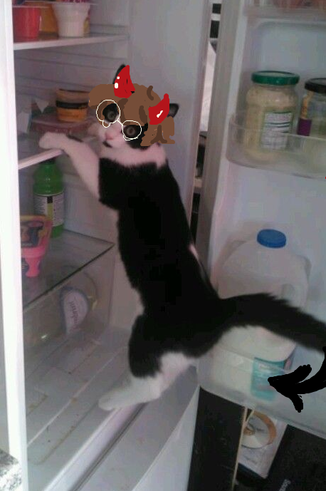 RS_MANIA🪃 (@rsmania5) on Twitter photo 