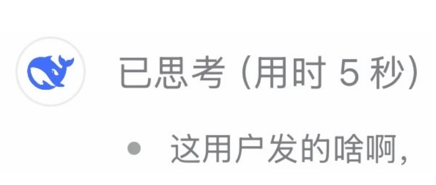 DeepSeek 新皮肤：这用户发的啥啊，