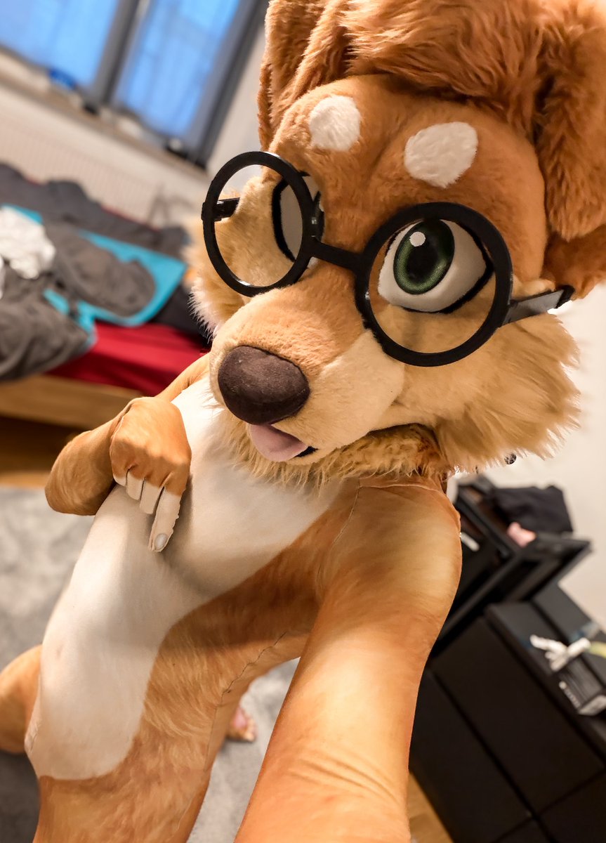 Max 🍞🐶 🔜 Ibercon (goh) 🇪🇸 tweet media