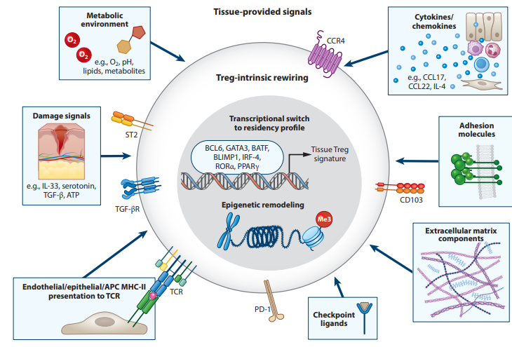 Waggoner Lab tweet media