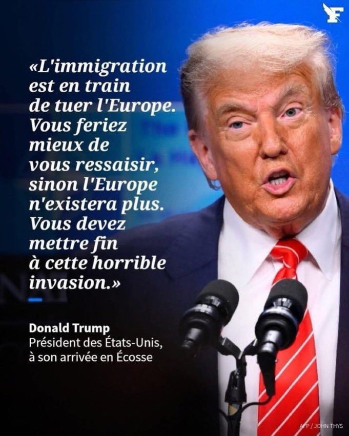 Wolf 🐺 tweet media