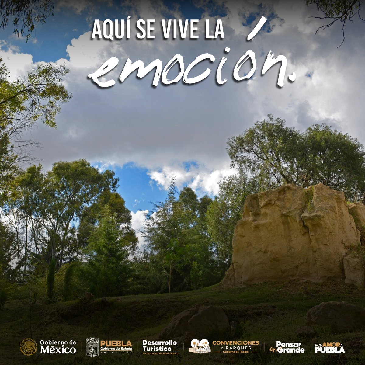 🎶🌟 Un lugar donde la emoción se siente en cada actividad.
Conciertos, juegos y actividades que generan recuerdos únicos para todos.
#Eventos #Emoción #Diversión