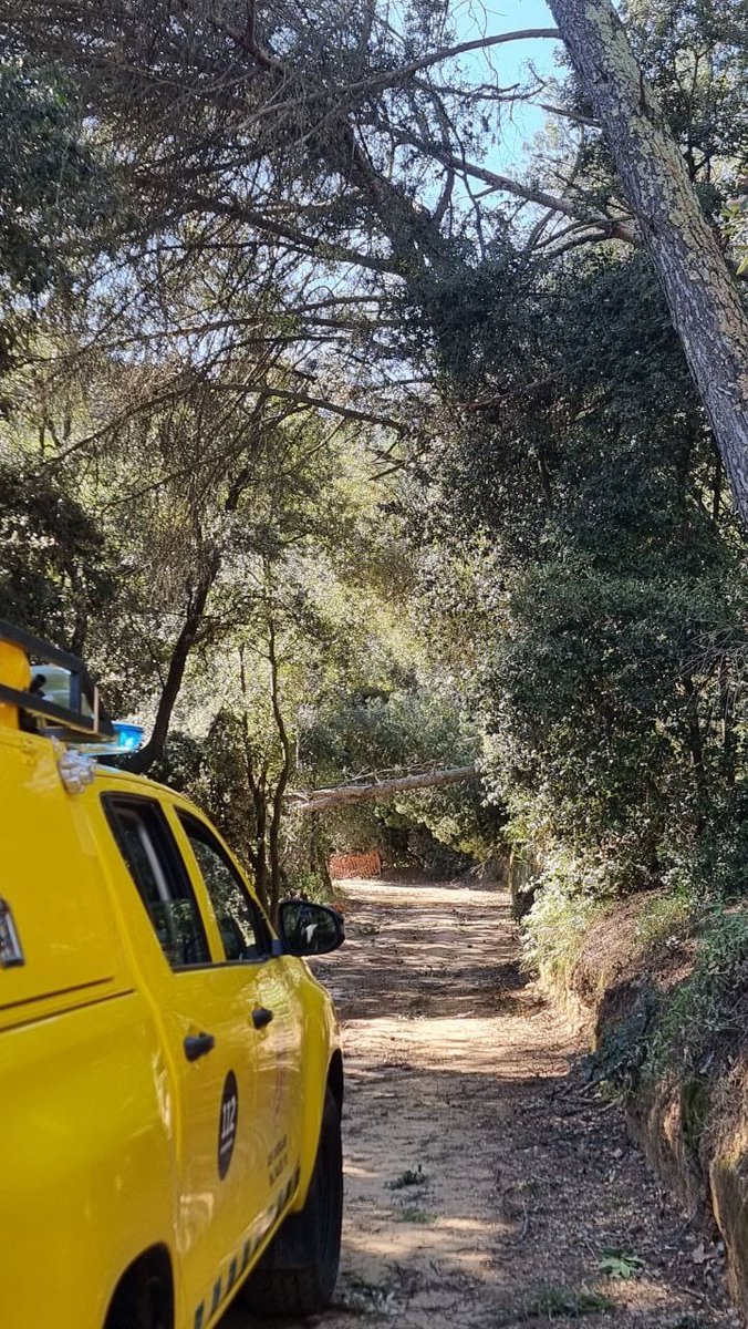 🌬️ Episodi de vent intens arreu del territori

🚒 Avui s’han activat 74 ADF
👩‍🚒 350 voluntaris mobilitzats
🚙 122 vehicles operatius

📋 Serveis realitzats:
🌲 Retirada d’arbres i brancada a la calçada
🔥 Incendis de vegetació forestal
🚜 Incendis de vegetació agrícola
🌫 Columnes