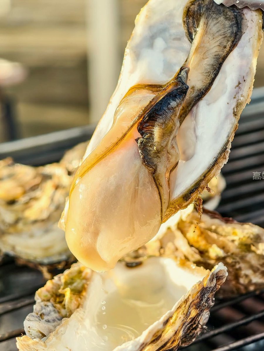 Turns out happiness is this simple: 一份aromatic and flavorful的chocolate cake就够了。