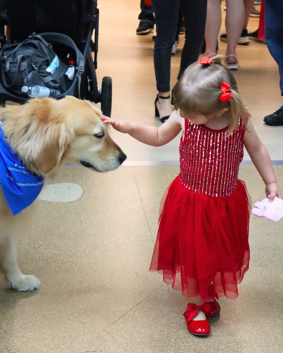 Arnold Palmer Hospital for Children tweet media