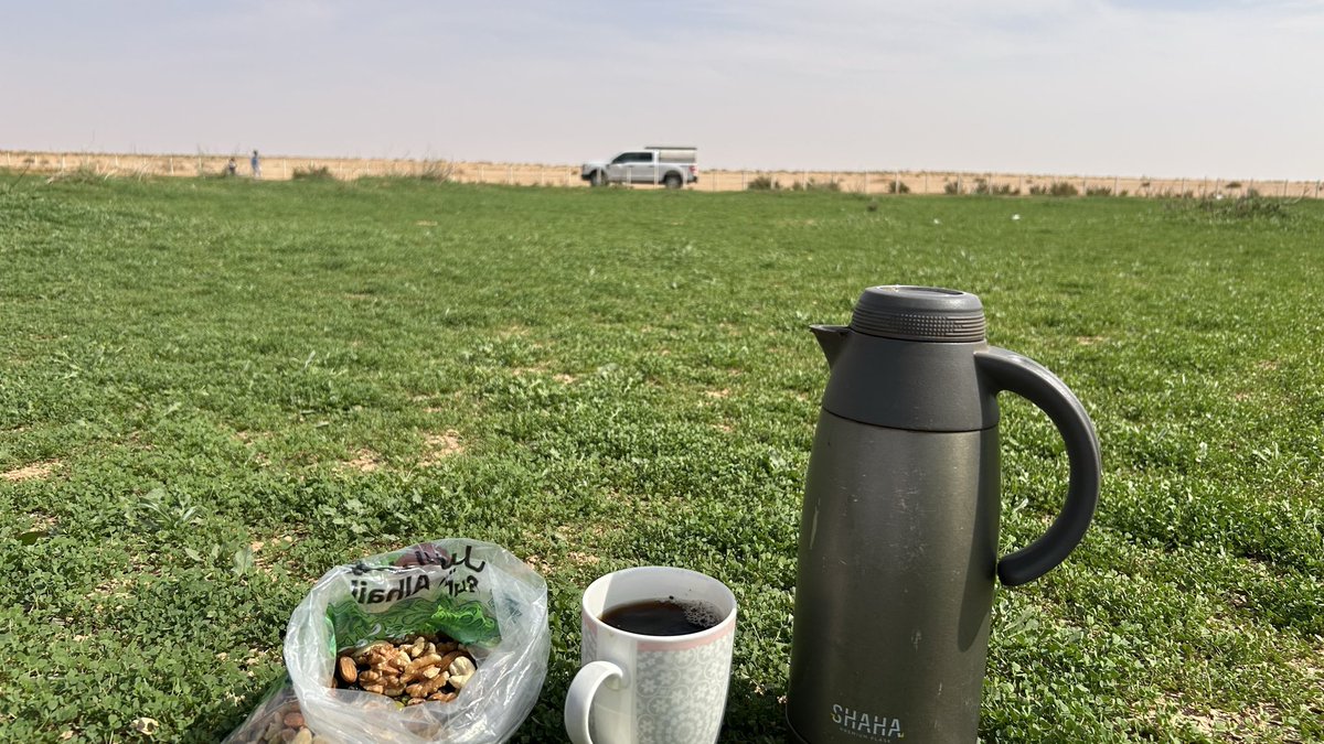 OthmanMo22222's tweet photo. السلام عليكم
في جولة على منابت الربيع  اليوم الخميس٢٤شعبان
فيضة نورة
الحقاقة
أم قصر
الخفيسات https://t.co/QumqUg2zai