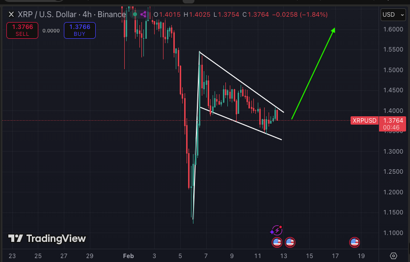 Bird_XRPL's tweet photo. XRP start flag ready to go...? 🏁