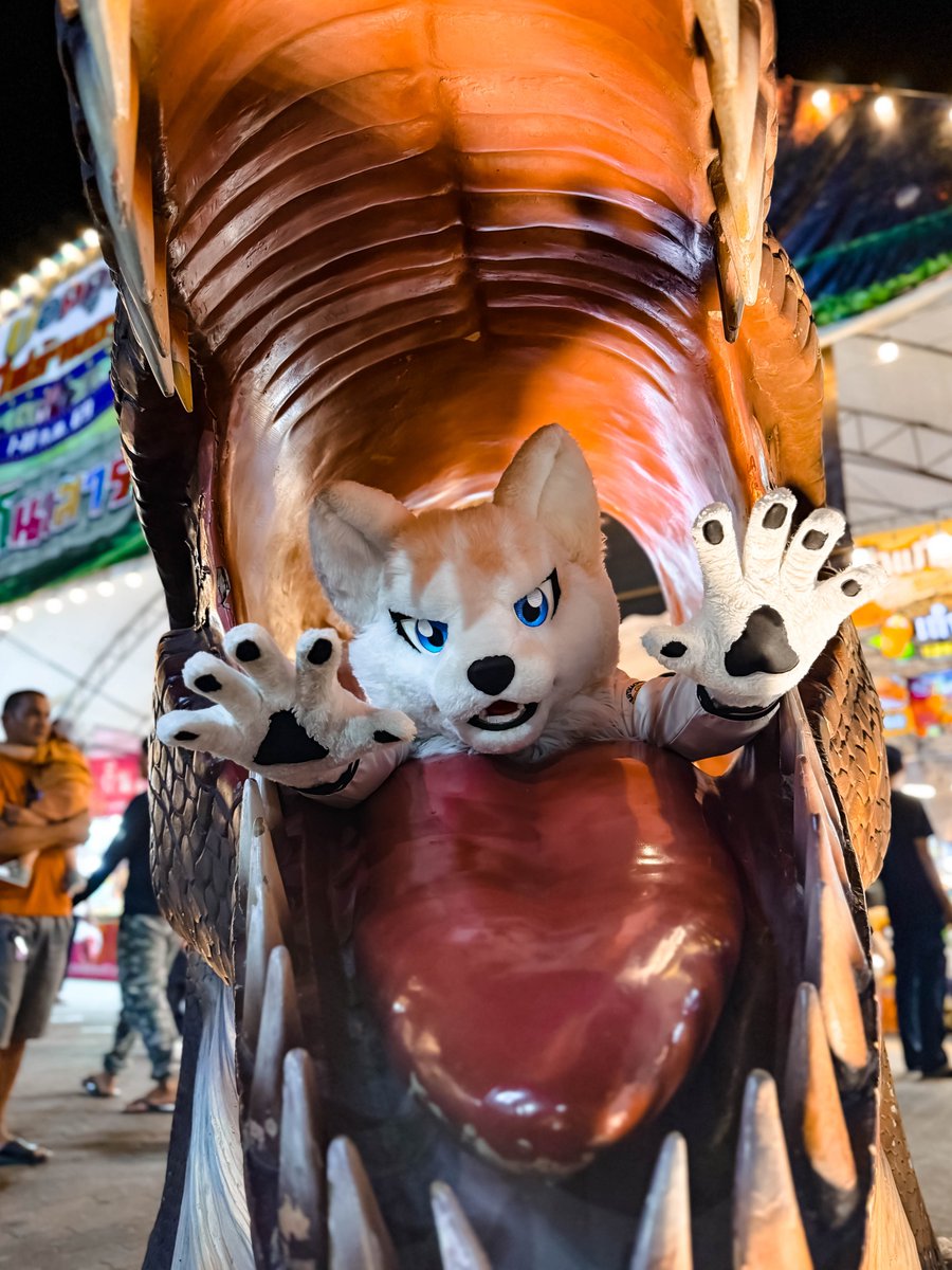 Shiro The White Wolf tweet media