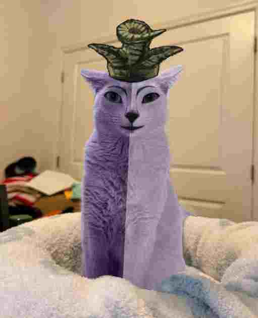 Xleb🍅🐛 tweet media