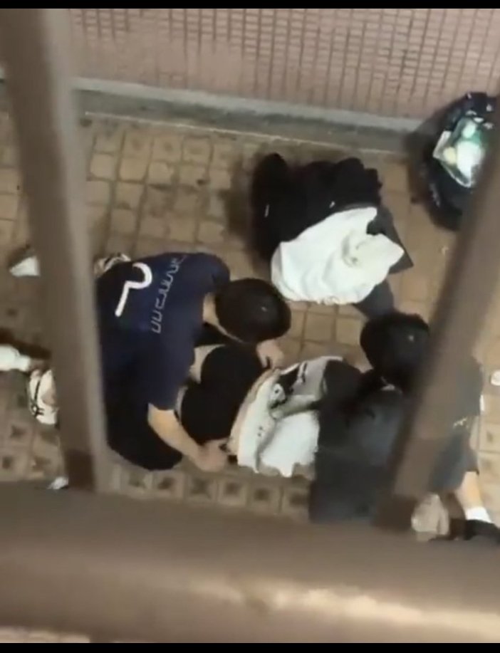 Robert Field tweet media