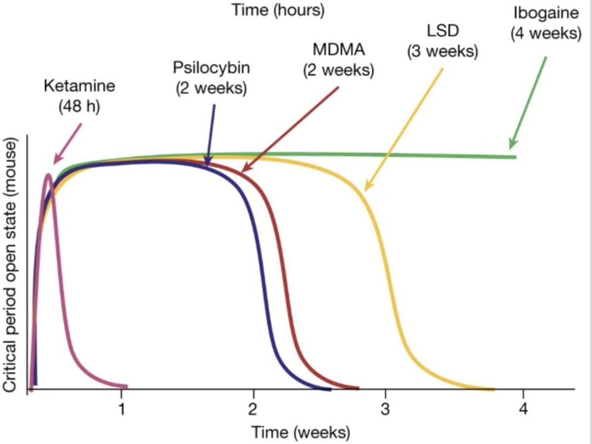 Paul F. Austin tweet media
