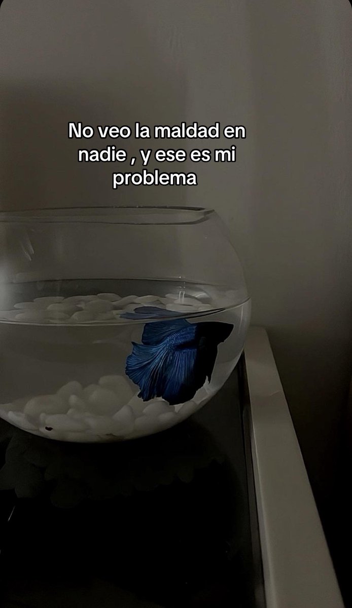 BANDIDOS (@bandidosfrasess) on Twitter photo 