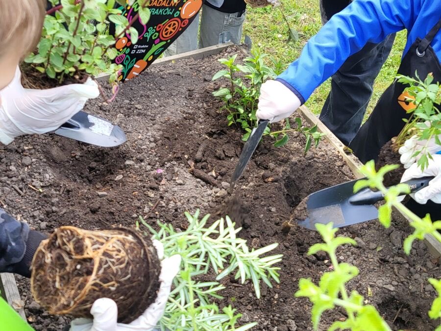 Rada Miasta Krakowa tweet media