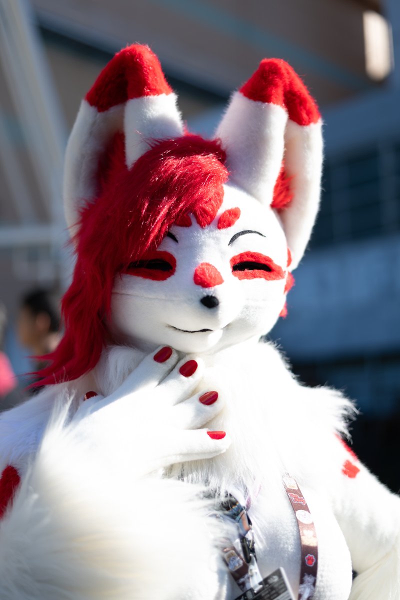 葛の葉ちゃん🦊
#FursuitFriday
#Furry 
#JMoF2026 
📸：@ cat_makina