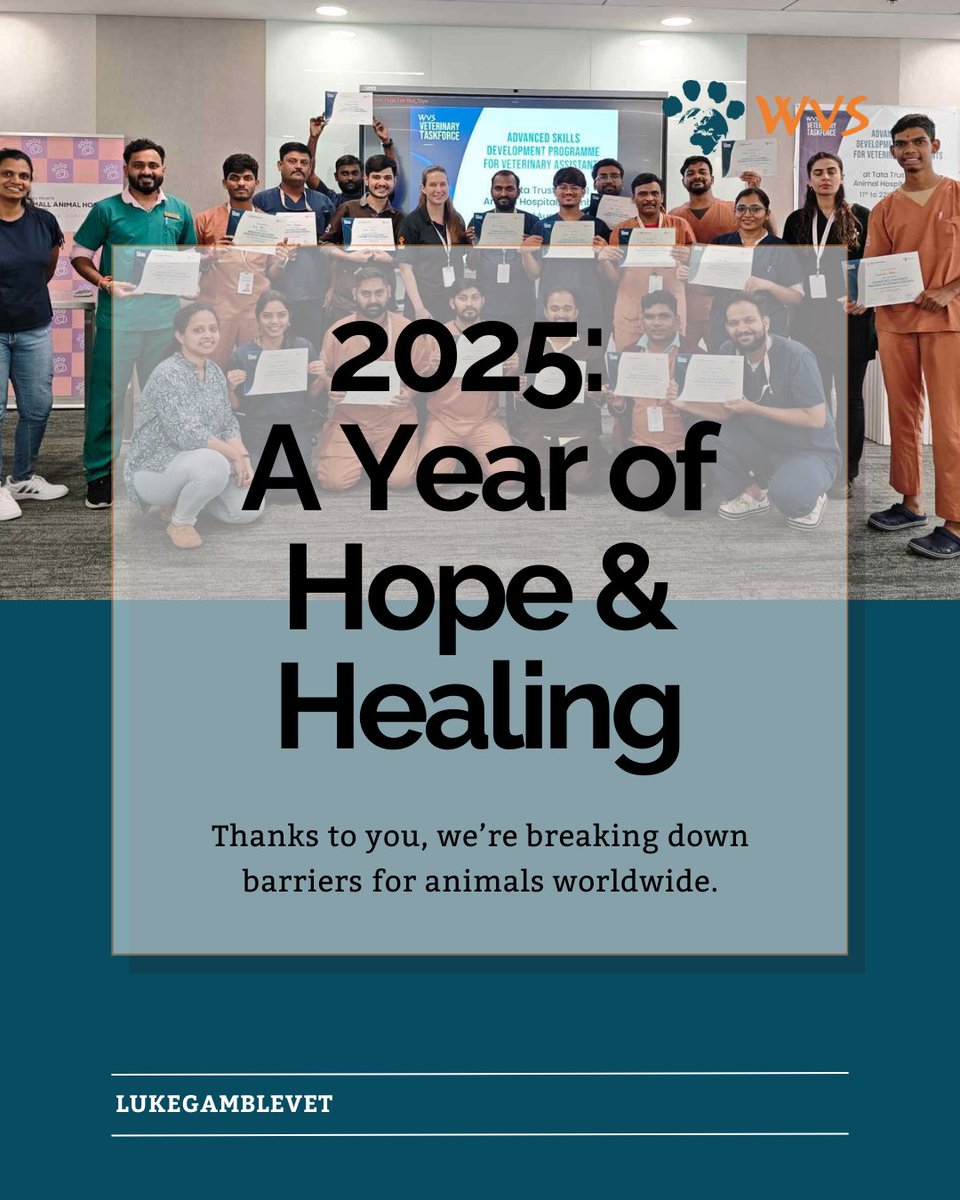 Luke Gamble tweet media