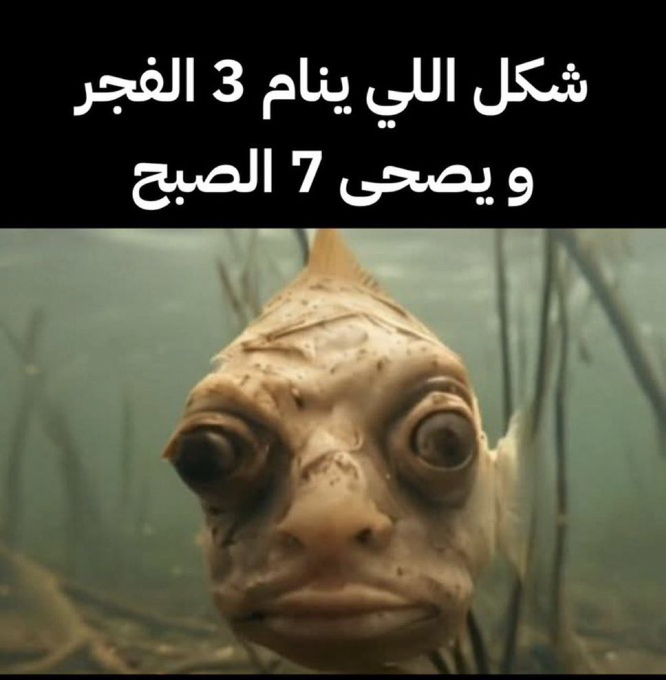 uselessmindsit's tweet photo. لالالا https://t.co/AUkpOdGeN4