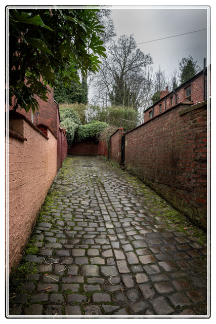photos_dsmith's tweet photo. #Stockport #Hilltop has some #fascinating #backstreets and #Victorian #houses. This #image was shot in #colour/#color showing the #cobbled #road #streetphotography #photography. See more #photos like this, or to #book this #Cheshire #photographer visit https://t.co/VilcfnO0ps https://t.co/V2N9aNTWET
