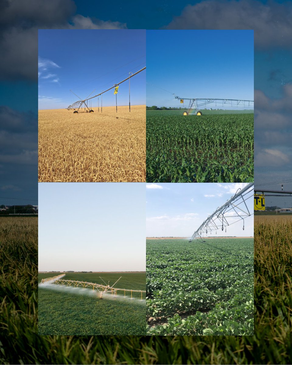Every field has its own demands, but the right pivot can meet them. Designed for versatility, T-L systems are built to adapt across a wide range of field conditions and operations.