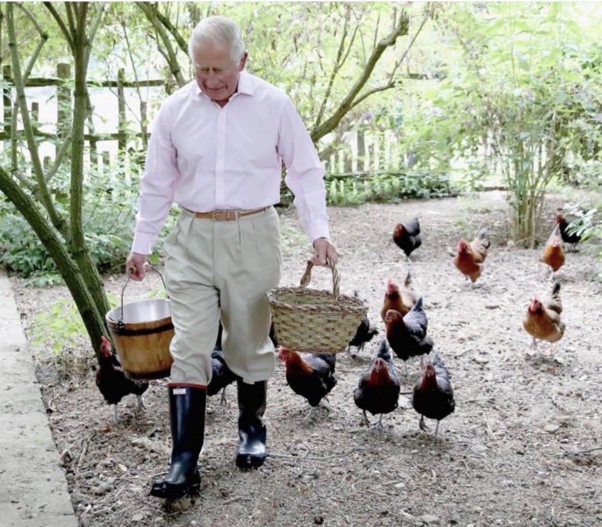 ⁦<a href="/aquagiugi/">aquagiugi</a>⁩ e noi ancora senza pollaio!