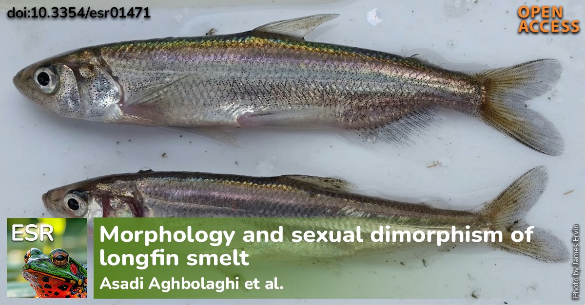 Endangered Species Research tweet media