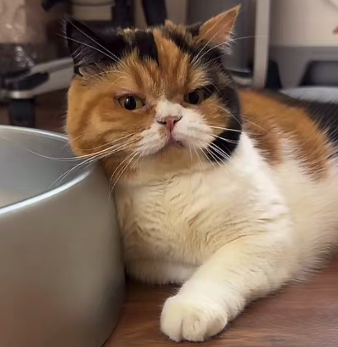 คิดถึงชีหมูอู๊ด