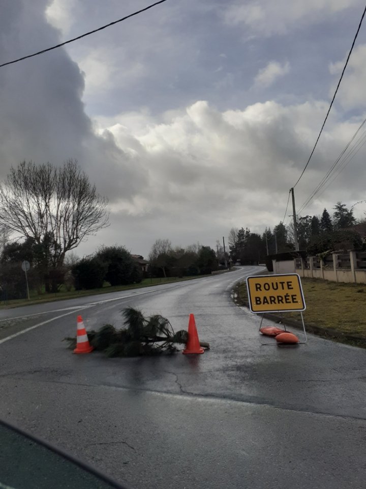 Pas le temps de niaiser les municipaux!#APÉRO