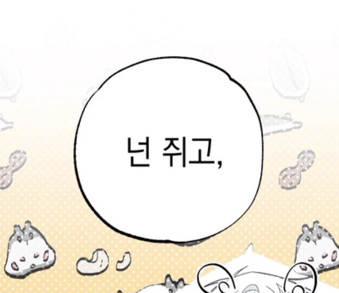 당연히 쥐가 공이고 고양이가 수임 쏘 굿이다 진짜 