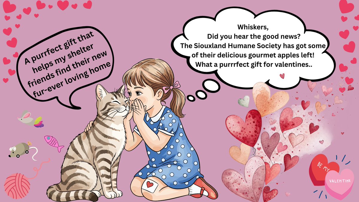 Are you still trying to figure out what to get that special someone for Valentine’s Day? Stop right there! ❤️
Put your shoes on and head down to the Siouxland Humane Society — we still have some of our delicious gourmet apples available, and they make the purrfect gift.