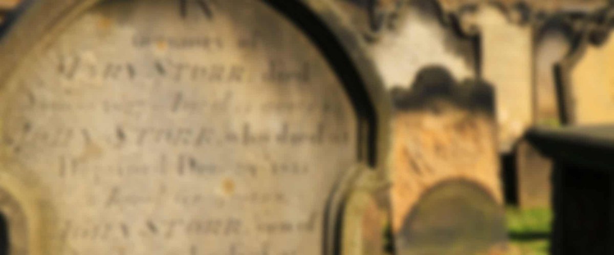 HackneyBooks's tweet photo. New On Hackney Books - Marble Child by E. Nesbit
My Pew
https://t.co/mFxKoBI7lU
All Free All The Time
#HackneyBooks #BookTwitter #GhostStory #MarbleChild #Nesbit https://t.co/RGm9yvc7qV
