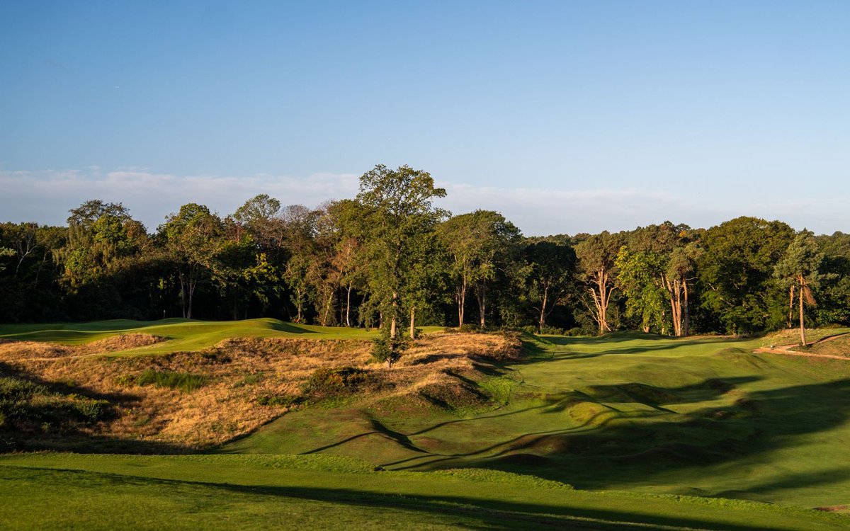 Jonathan Taylor tweet media