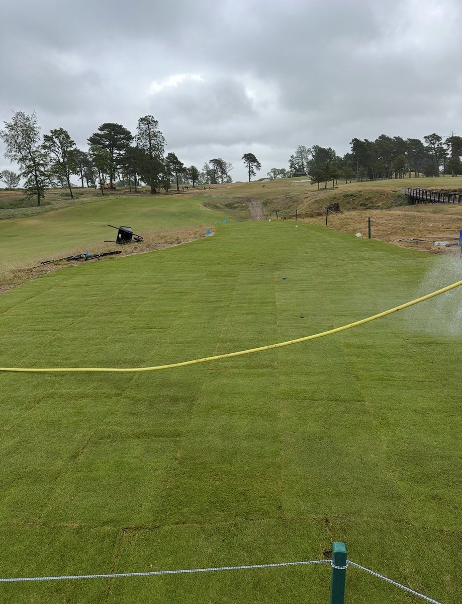 Jonathan Taylor tweet media