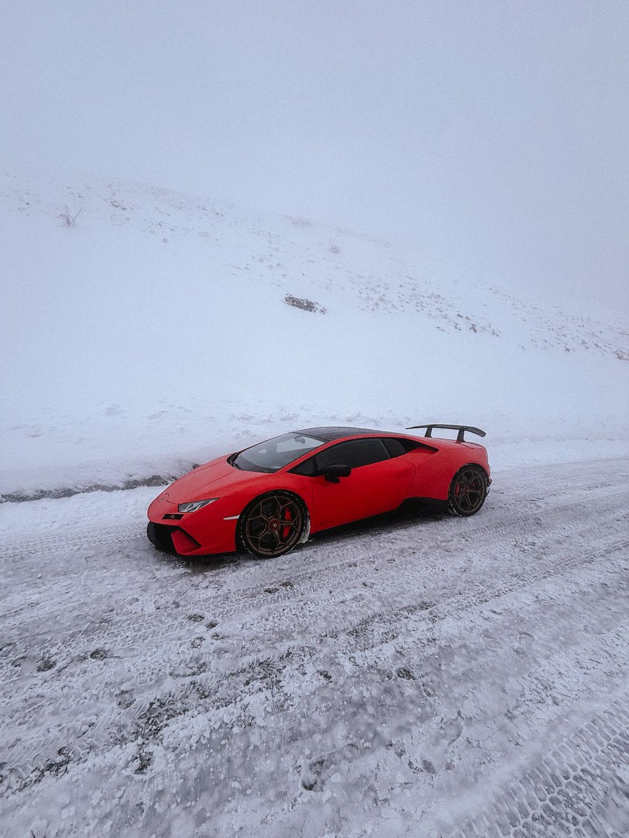 Carl Seki tweet media