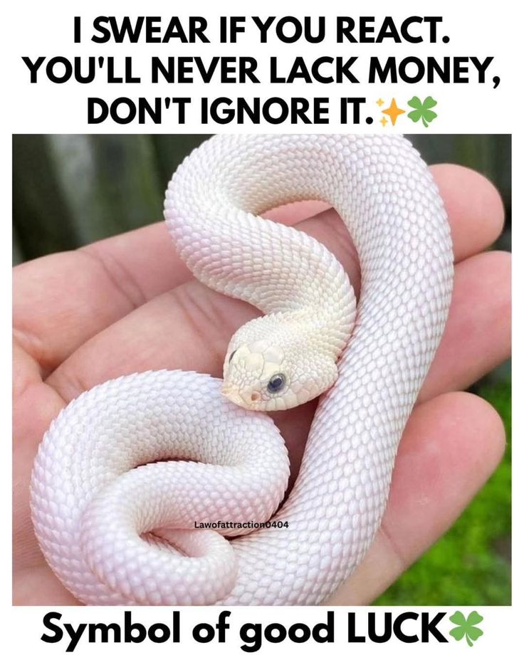 Don't ignore it . Share it now