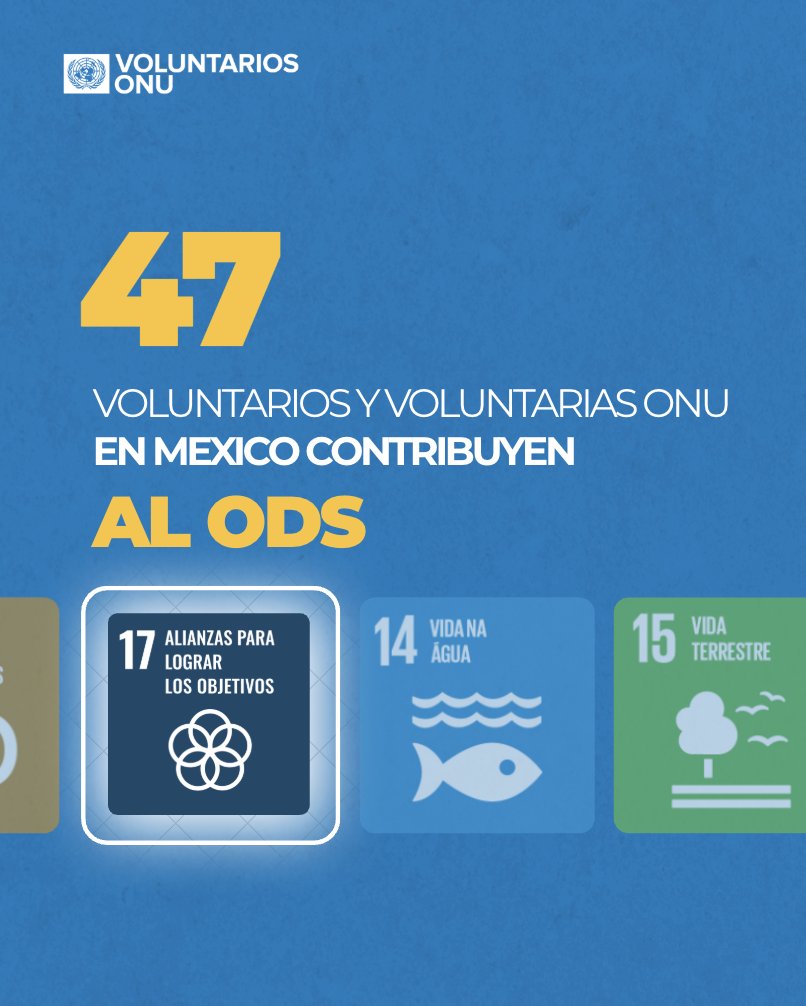 47 Voluntarios y Voluntarias ONU en México contribuyen al cumplimiento dei #ODS17 fortaleciendo alianzas para lograr objetivos 🇲🇽🌎

El voluntariado transforma compromisos en acción 💙