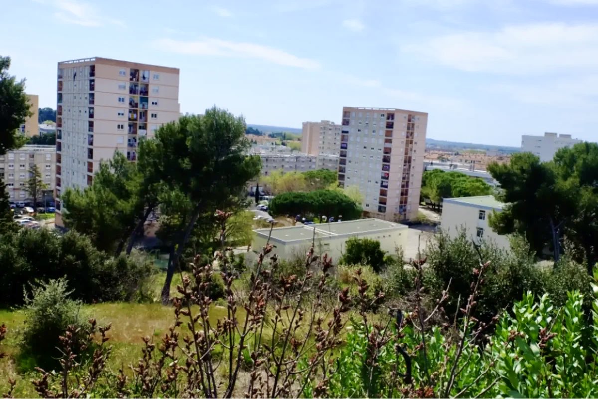 𝗩𝗜𝗘 𝗗𝗘𝗦 𝗤𝗨𝗔𝗥𝗧𝗜𝗘𝗥𝗦 :
𝗥𝗲́𝗵𝗮𝗯𝗶𝗹𝗶𝘁𝗮𝘁𝗶𝗼𝗻 𝗱𝘂 𝗤𝘂𝗮𝗿𝘁𝗶𝗲𝗿 𝗱𝗲𝘀 𝗖𝗮𝗻𝗼𝘂𝗿𝗴𝘂𝗲𝘀 🌱

#Urbanisme #Réhabilitation #Canourgues #SalonDeProvence