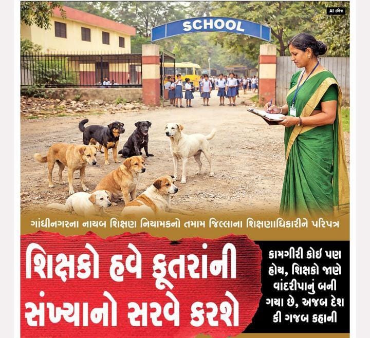 Yuvi_1212's tweet photo. ગુજરાતમાં શિક્ષકોનું કાર્ય વિધાર્થીઓને ભણાવવાનું નહીં,પણ જુદા જુદા સર્વે,ચૂંટણી ફરજ,અને હવે કૂતરાની સંખ્યા પણ શિક્ષકો ગણી આપશે.ક્લાસરૂમ ખાલી રહશે તો ચાલશે પણ અન્ય કામો અટકવા ન જોઈએ  🧐🤔સરકારના દરેક કામનો “ઓલ-રાઉન્ડર” એટલે શિક્ષક શું કહેશો...?
#શિક્ષક
@hdraval93 @Vivekdoza https://t.co/4a3fD0JHdG
