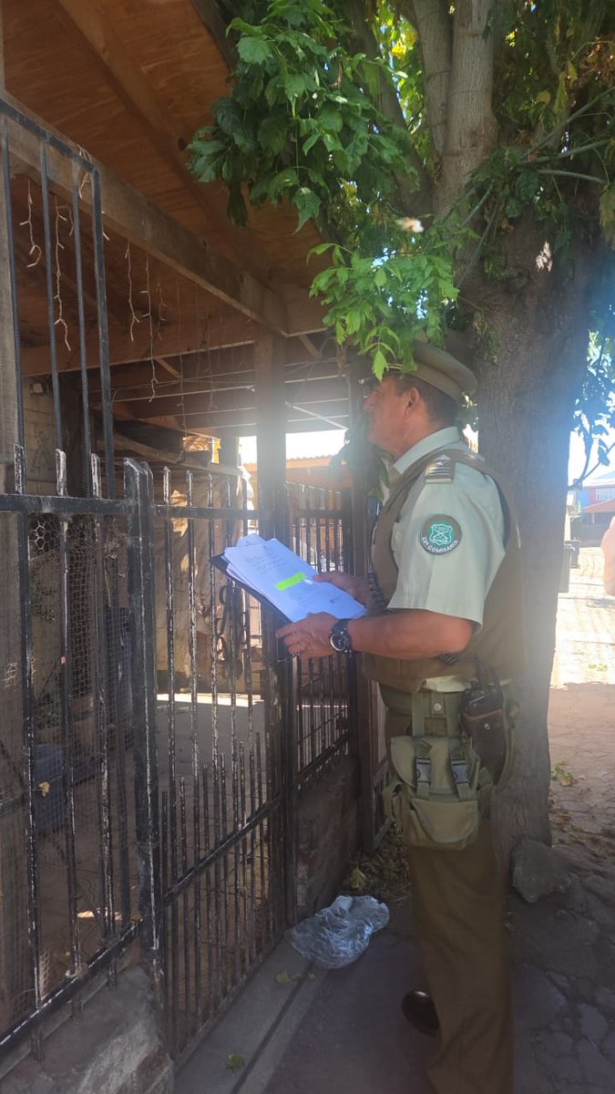 Carabineros Prefectura Costa tweet media