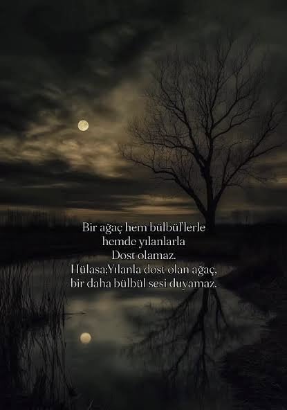 bülent yenihayat (@byenihayat) on Twitter photo 